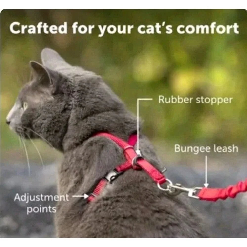 PetSafe COME WITH ME KITTY Cat Harness and Bungee Leash Red Medium